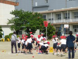 IMG_8532
