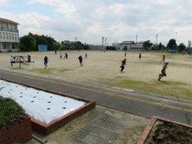 IMG_7729